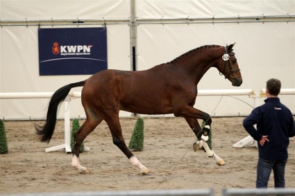 excalibur 12-2011